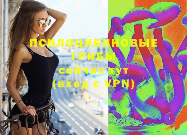 стаф Бородино