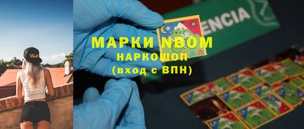 mdma Богородицк