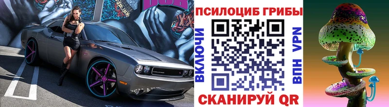 купить закладку  Горняк  Псилоцибиновые грибы мухоморы 